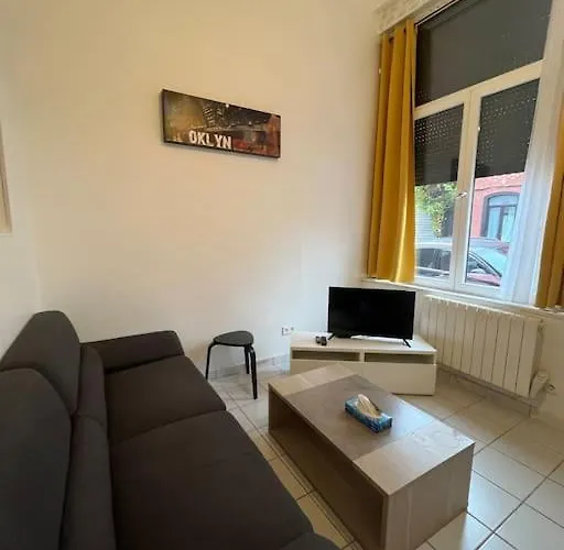 Appart Cosy 2P- Proche Metro, Lille A 15 Min